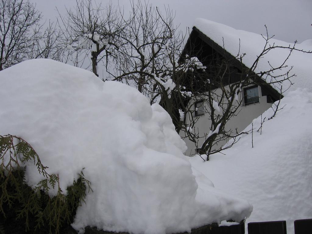 Apartamento Nasa Hisa Bohinj Habitación foto