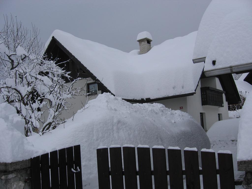 Apartamento Nasa Hisa Bohinj Habitación foto