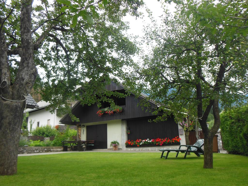 Apartamento Nasa Hisa Bohinj Habitación foto